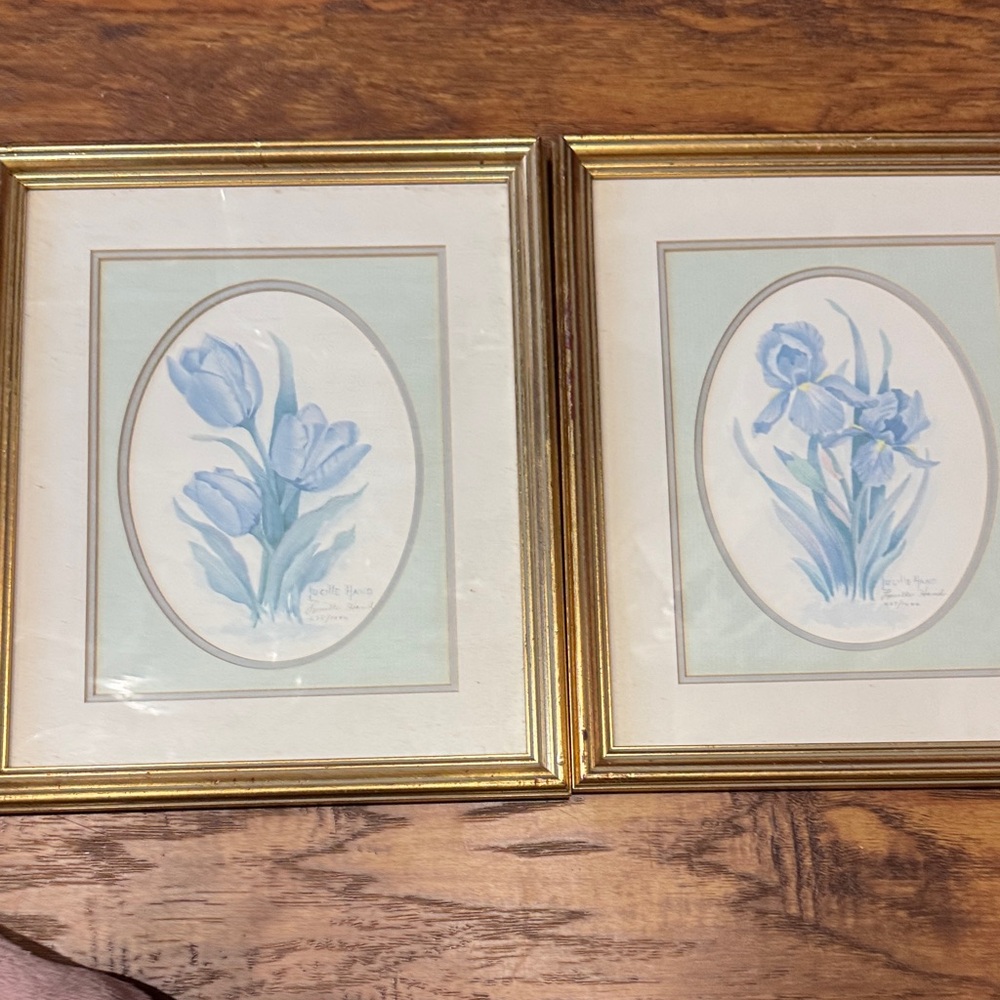 Vintage Framed Lucille Hand Botanical Iris" Prints